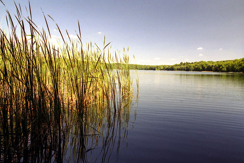 Peaceful 